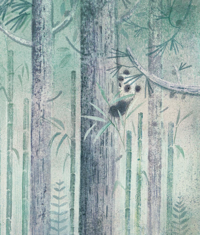 Book - Song In The Mist