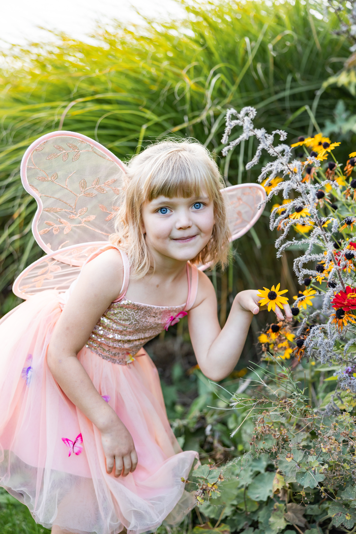 Butterfly Bliss Wings