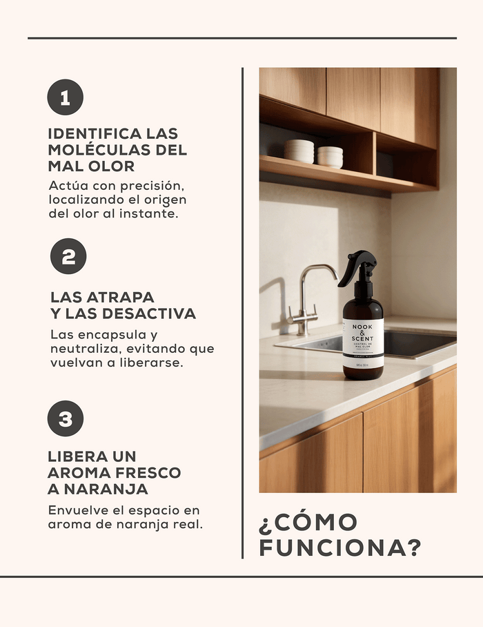 Control de Mal Olor para Cocina