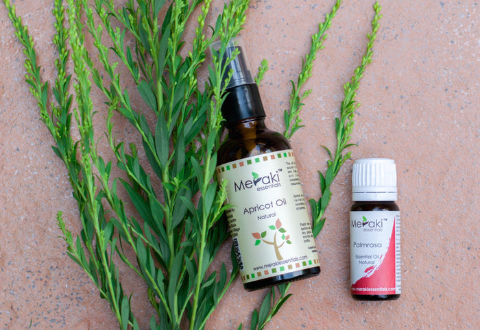 Dry Skin Combo in Summers - Apricot Oil (50 ml) & Palmrosa Essential oil