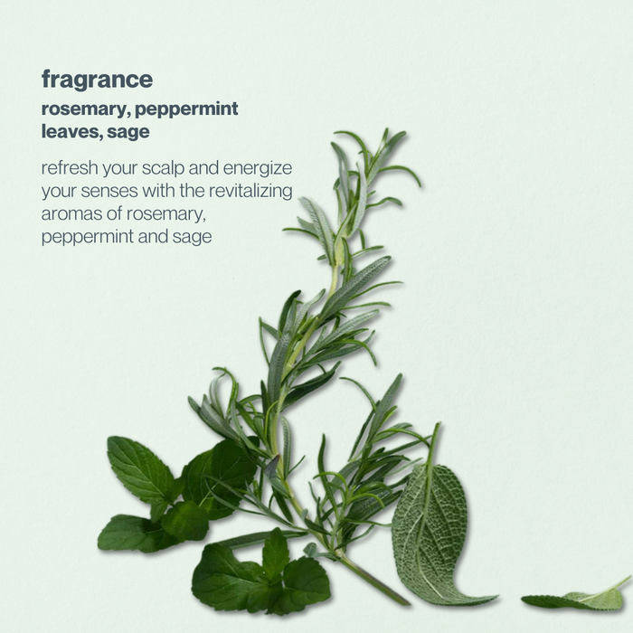 Herbs including rosemary, peppermint, and sage on a light green background with text about their fragrance.