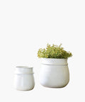 Two white planters, one with a small plant, on a white background. | SW Home
