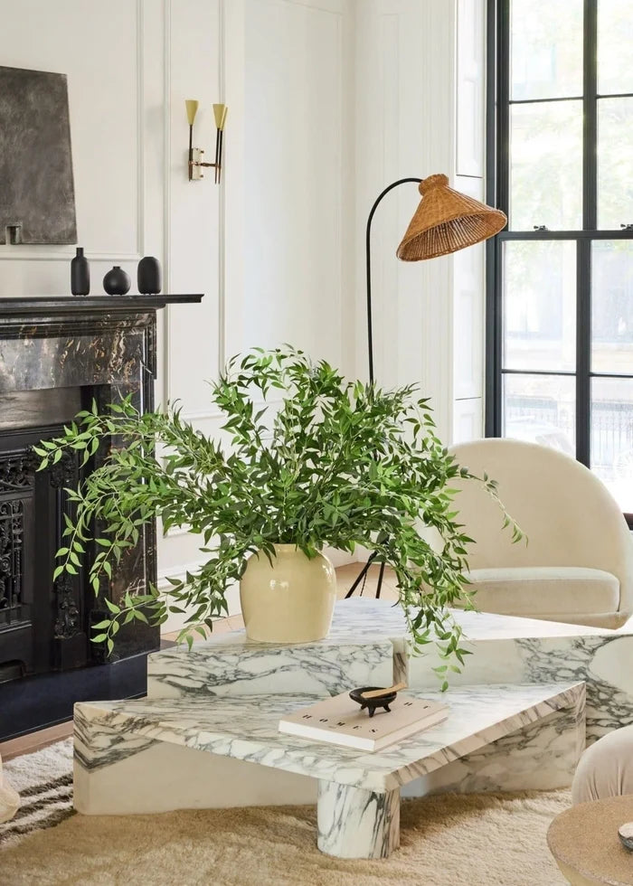 Living room with a marble coffee table, plant, and armchair.