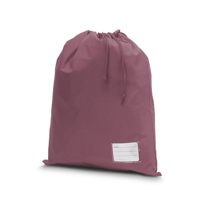 Library Bag