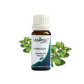 Marjoram Essential Oil