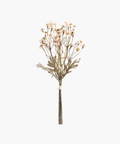 A bundle of delicate, white daisy flowers with yellow centers on long brown stems, tied together with string against a plain white background. | SW Home