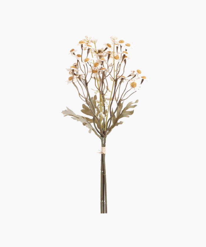 A bundle of delicate, white daisy flowers with yellow centers on long brown stems, tied together with string against a plain white background. | SW Home