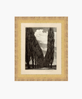 Framed black and white landscape print depicting tall, dense trees lining a pathway under a dramatic sky with swirling clouds. Distressed antique gold frame. | Wildwood Home Co.