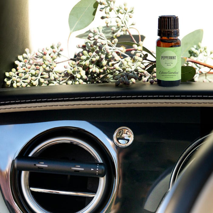 Peppermint Around The World Oil & Aromaride Car Diffuser