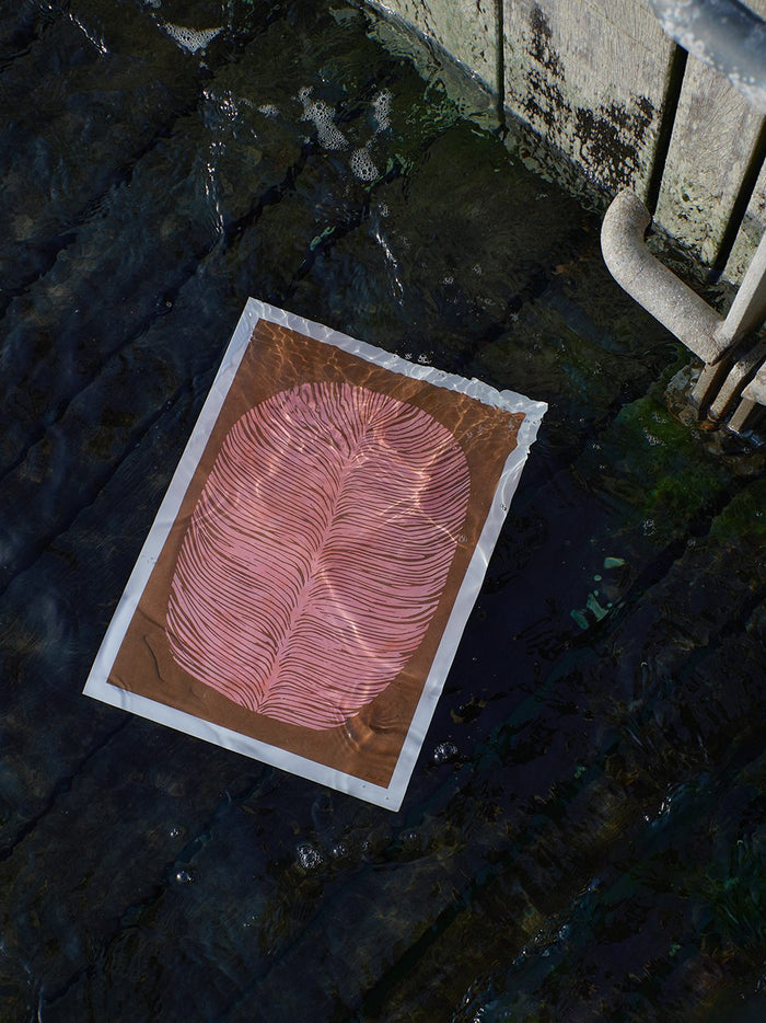 Pink Lagoon by Rebecca Hein
