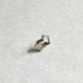 Species by the Thousands Ramble ring in brass.