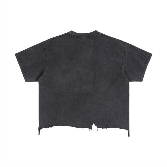 River Birch Crow Tshirt  - In Flight - Distressed T Shirt