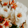 Close-up of white and peach-colored flowers with a blurred background