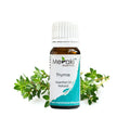 Thyme Essential Oil